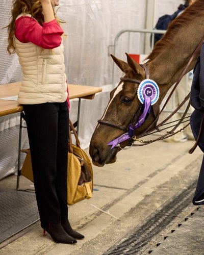 Photo post from fei_global.