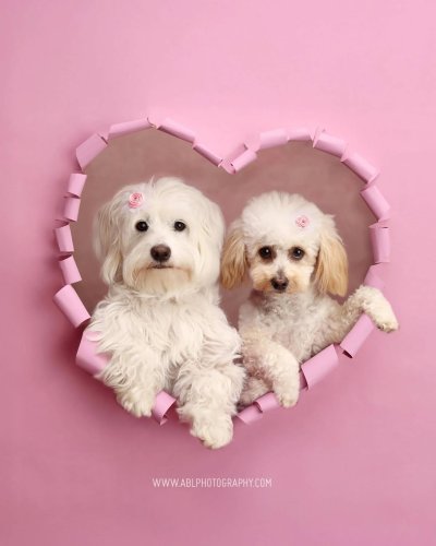 Photo post from abl_photography_sandiego.