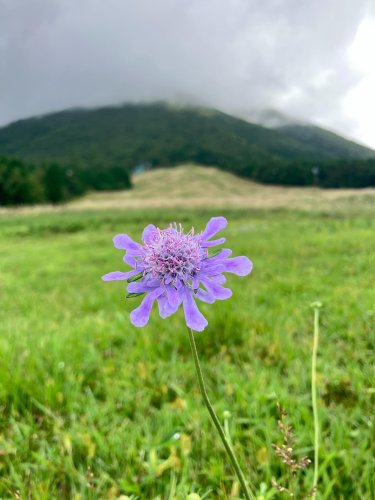 Carousel post from masumizutenkuu.
