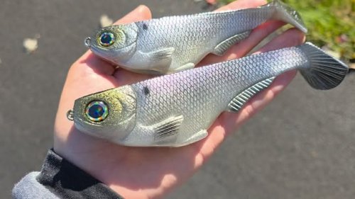 Video post from garrettscustoms.