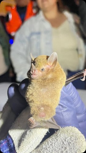 Video post from zotz.pcmg.