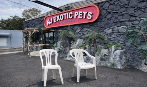 Photo post from njexoticpets.