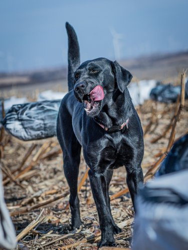 Photo post from northernskiesoutfitters.