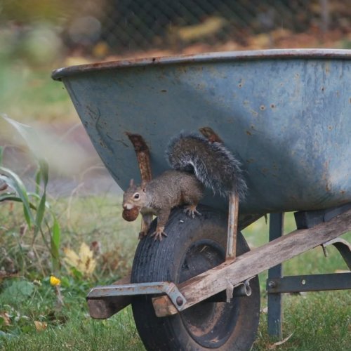 Carousel post from thebeeandbee042608.