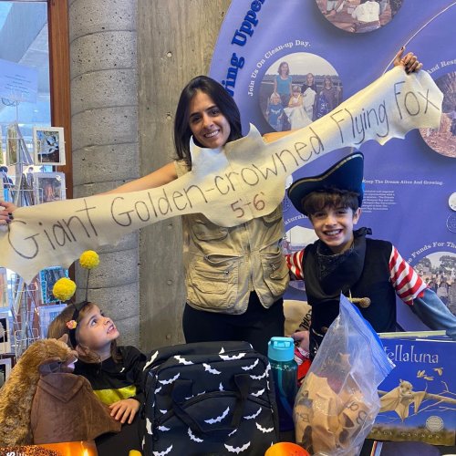 Carousel post from socalbatgroup.