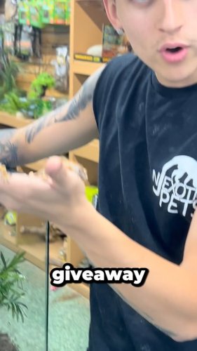 Video post from njexoticpets.