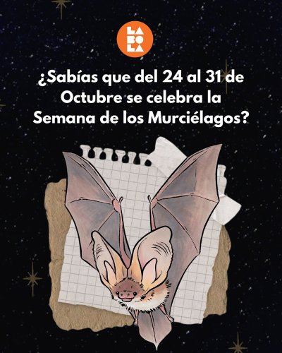 Carousel post from labola.ac.