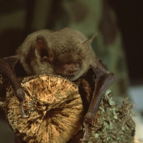 Photo post from clackamasriver.