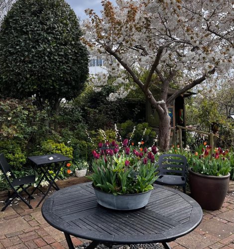 Photo post from gardenhousebrighton.
