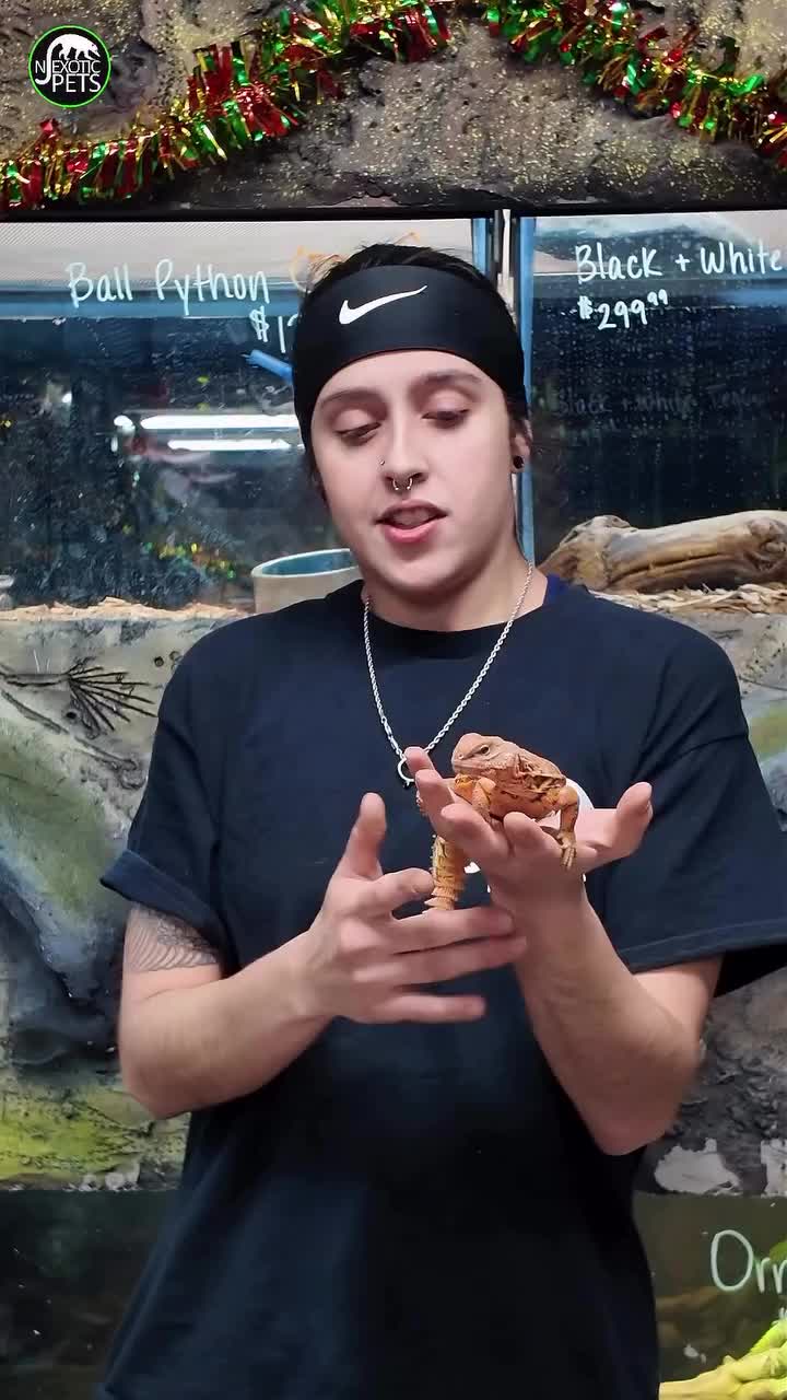Video post from njexoticpets.