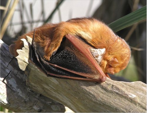 Photo post from sable_institute.