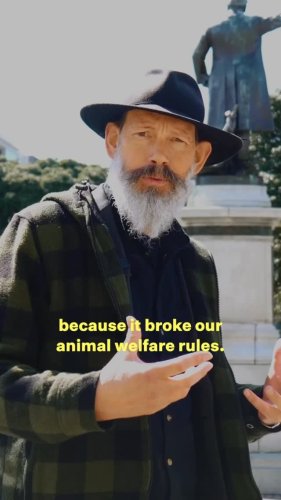 Video post from nzgreenparty.