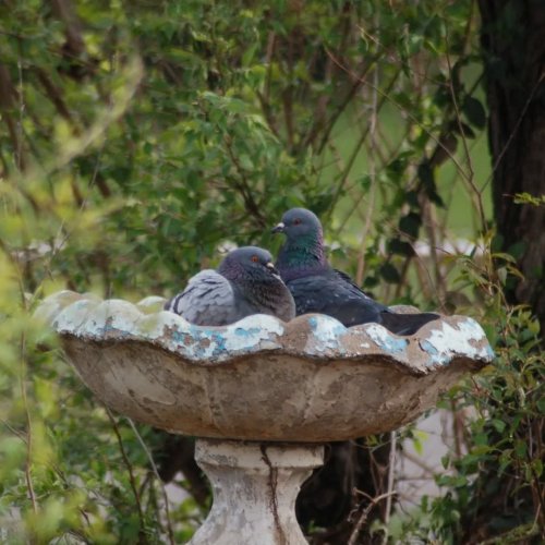 Photo post from thebeeandbee042608.