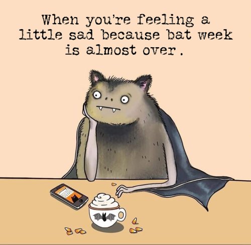 Carousel post from forthebirdsofacadiana.