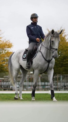 Video post from fei_global.