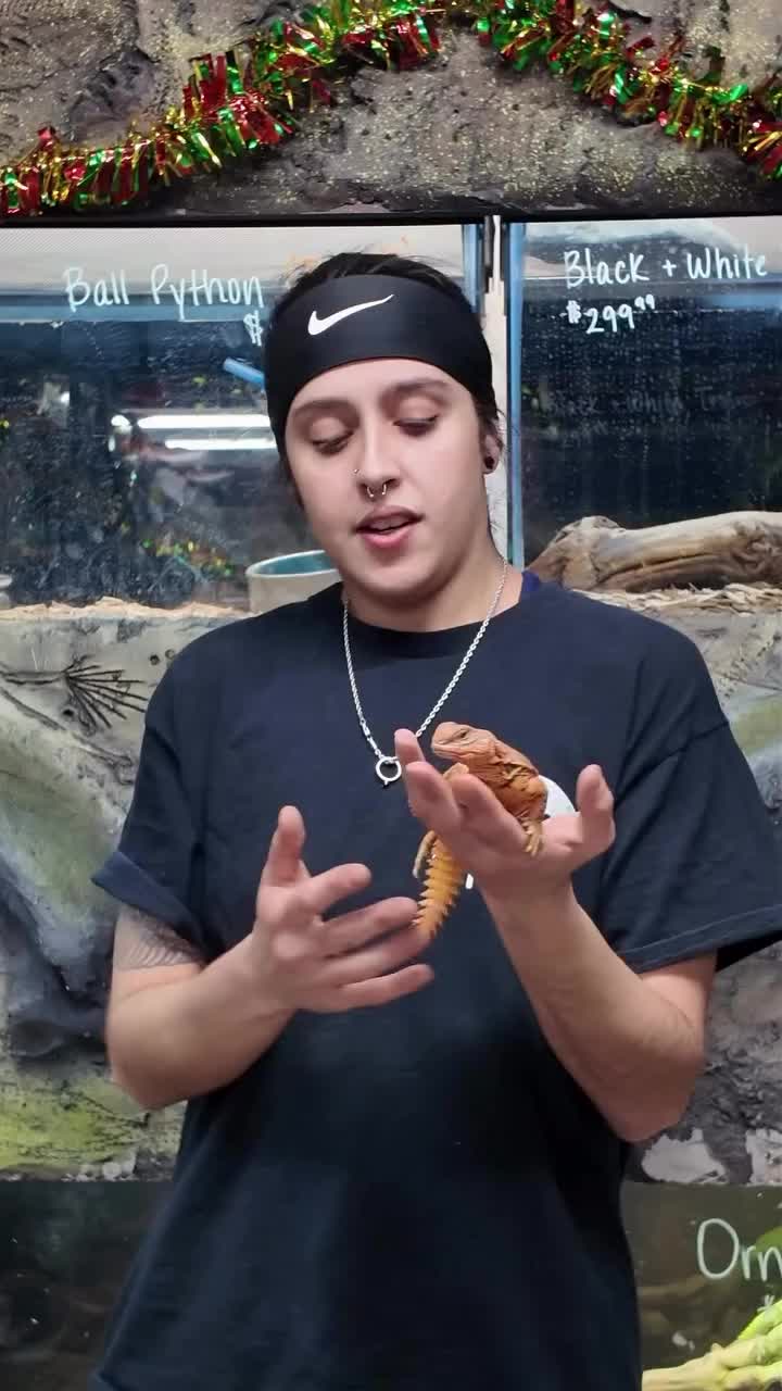 Video post from njexoticpets.