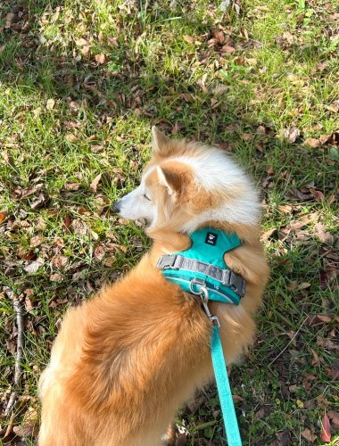 Carousel post from haeruphoria.