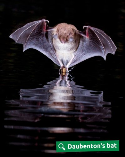 Photo post from forest_of_dean_fe.