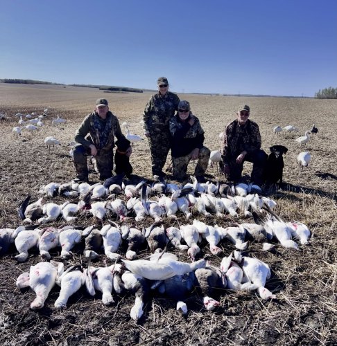 Photo post from northernskiesoutfitters.