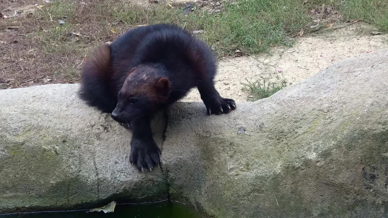 Video post from jhbgroup1.