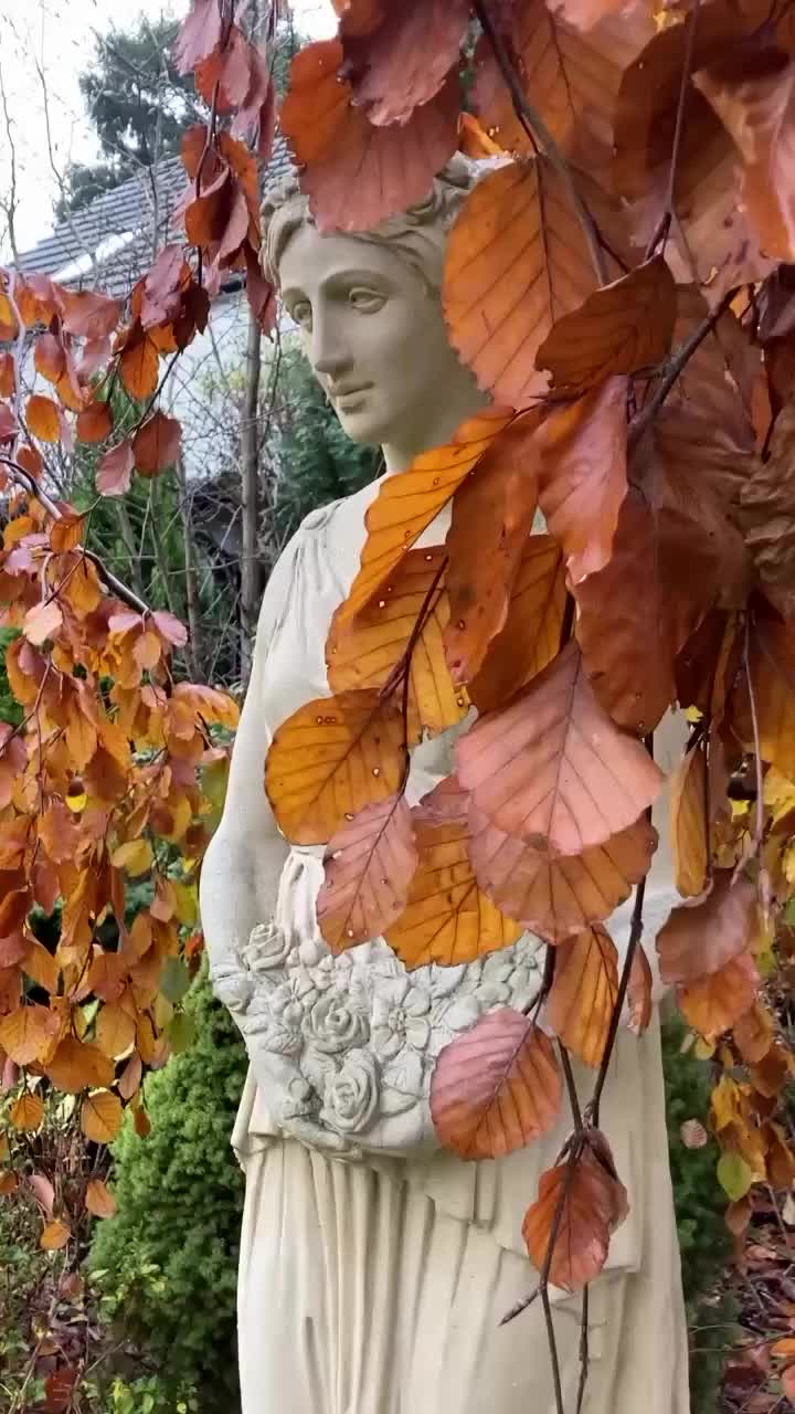 Video post from chronos_collection.