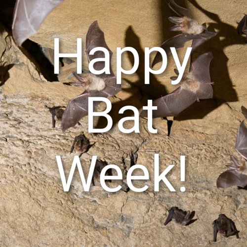 Photo post from environmentva.