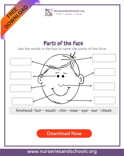 Photo post from nurseriesandschoolsorg.