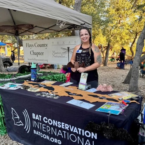 Carousel post from akastephmarie.