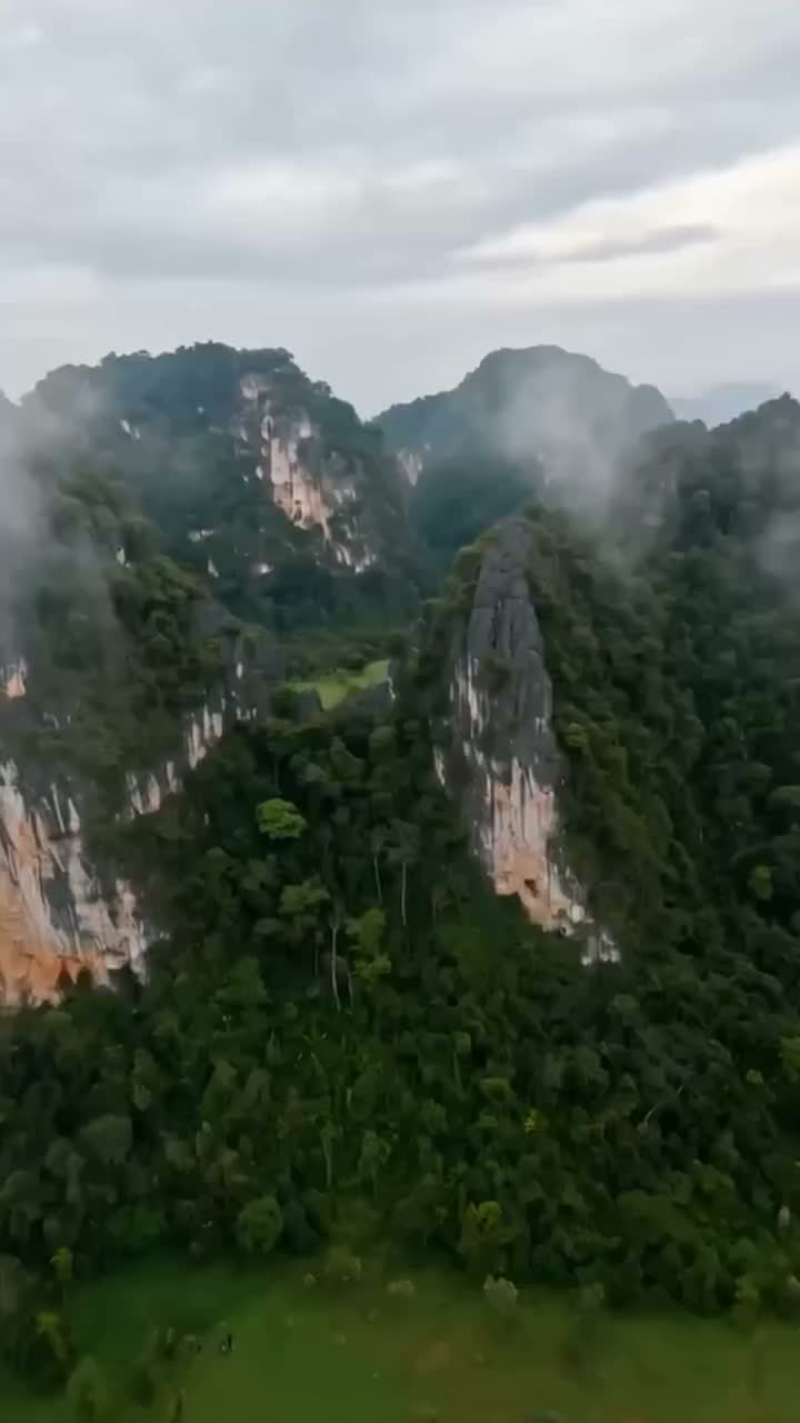 Video post from jakeltextile.