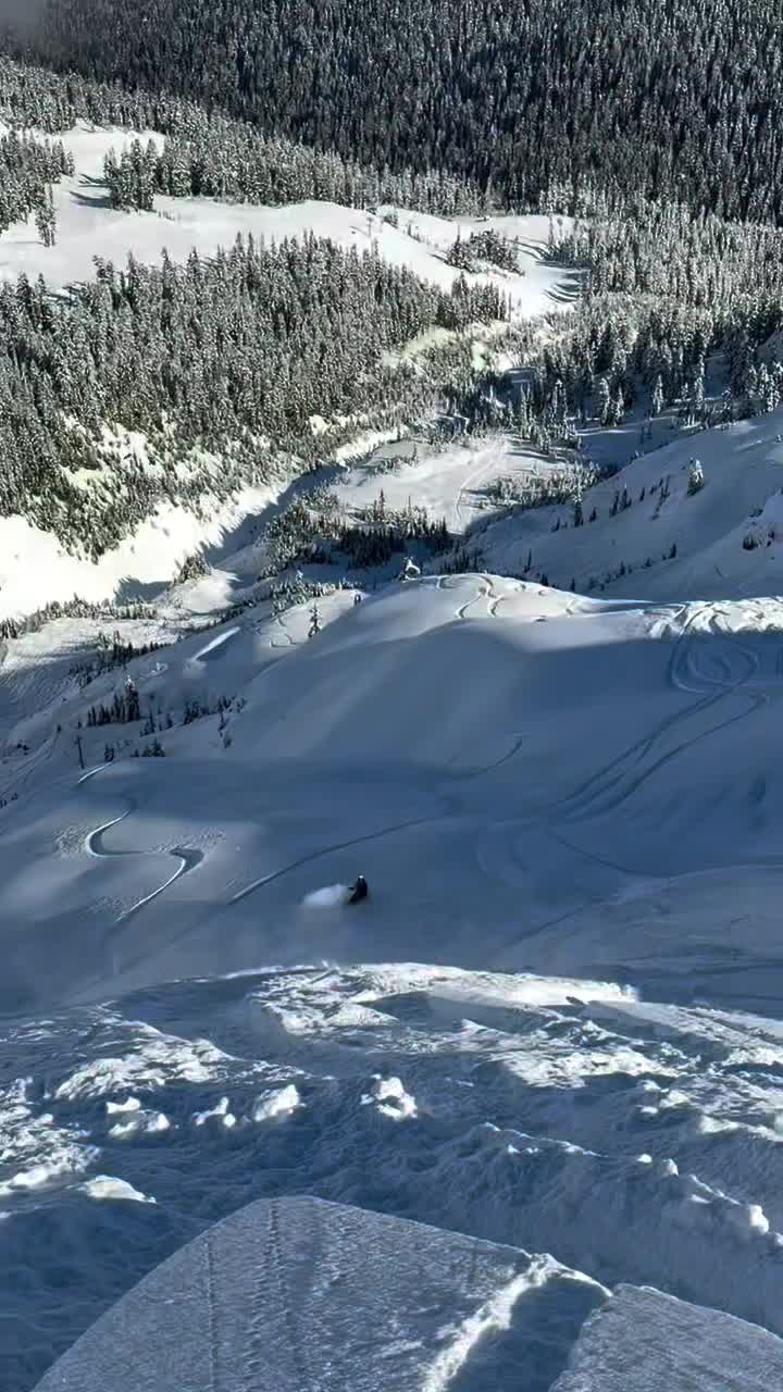 Video post from gnusnowboards.