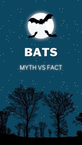 Video post from lincoln_imps_mammal_group.