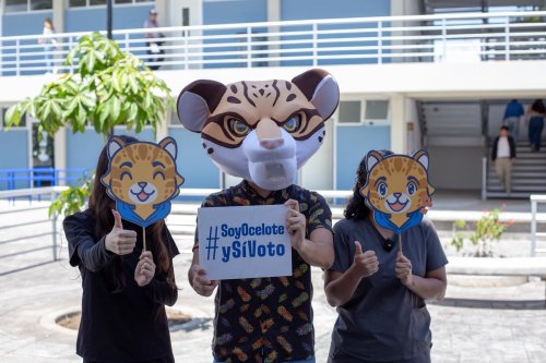 Carousel post from uan.oficial.