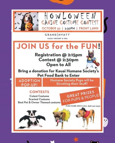 Video post from hi95kauai.