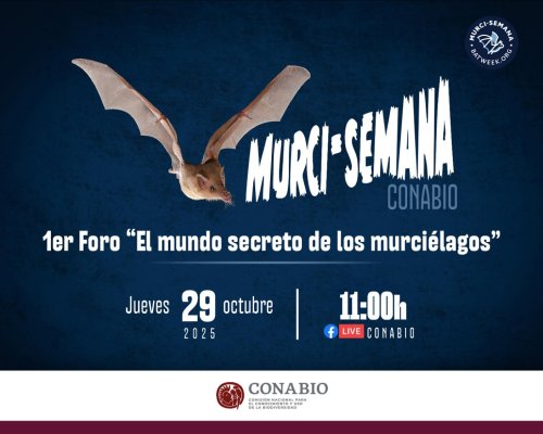 Photo post from conabiomx.