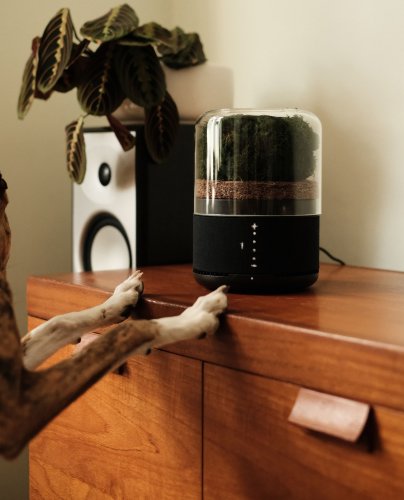 Photo post from briiv.natural.