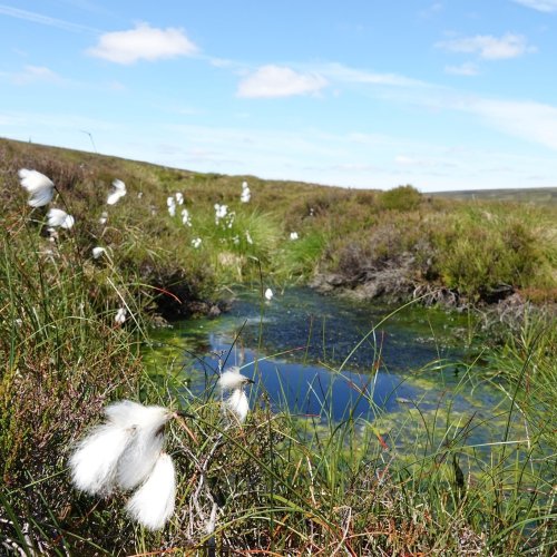 Carousel post from bramleynewspaper.