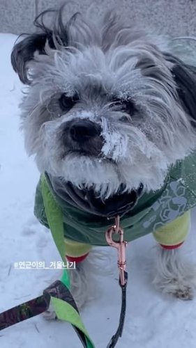 Video post from notcarrot.butlotusroot.