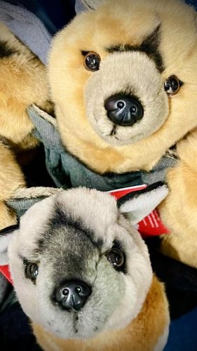 Video post from thestoreatthemuseum.