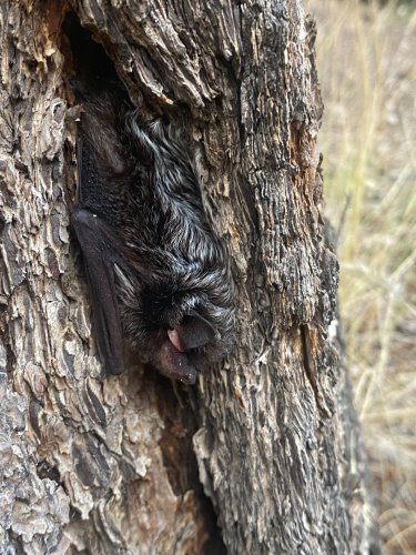 Photo post from eldoradocanyonstatepark.