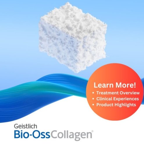 Photo post from geistlich_north_america.