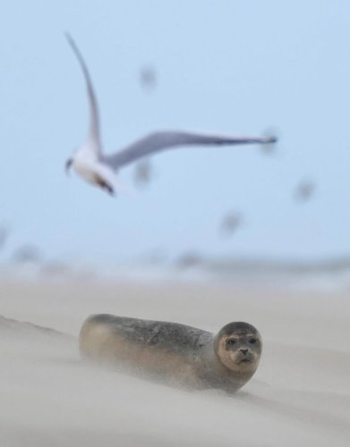 Photo post from ditiskatwijk.