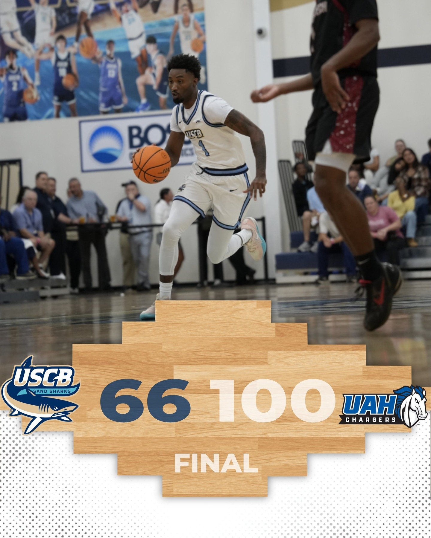 Photo post from uscbsandsharks.