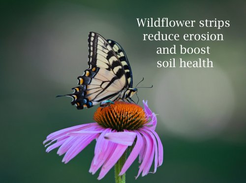 Photo post from mistyyoungphoto.