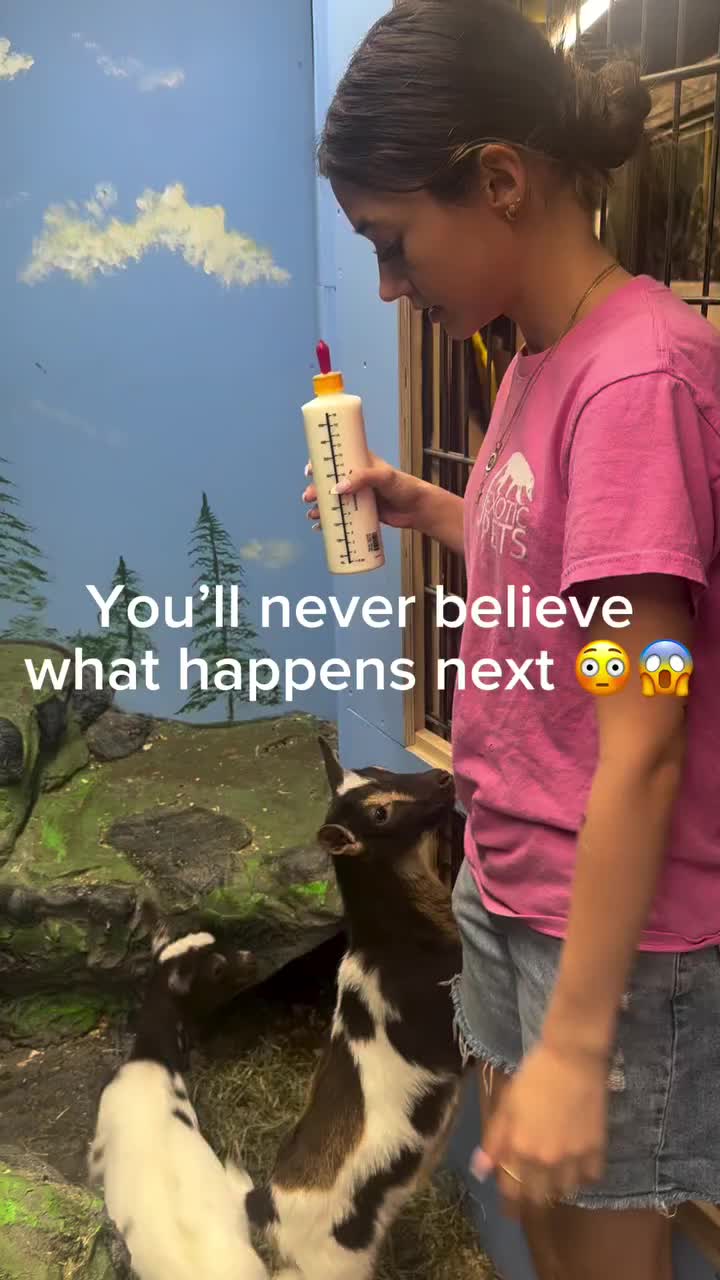 Video post from njexoticpets.