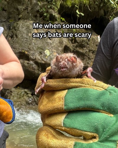 Photo post from wildlifenj.