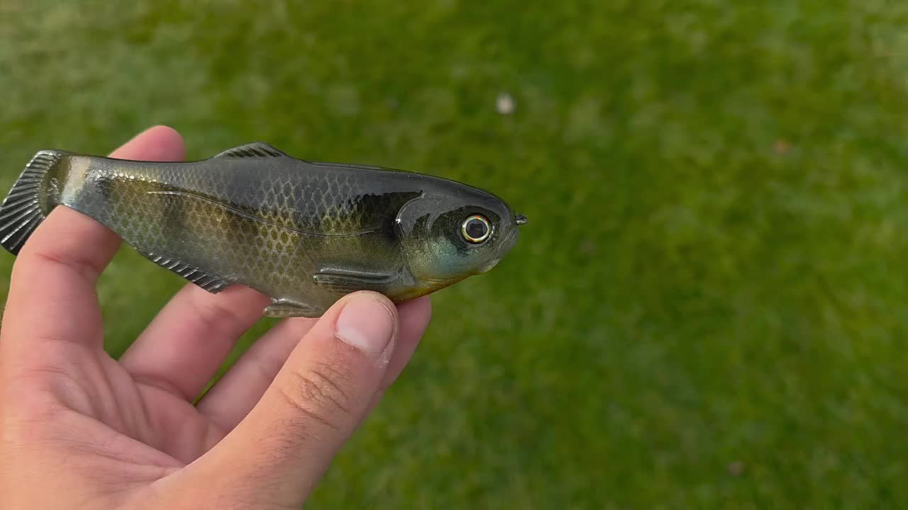 Video post from garrettscustoms.