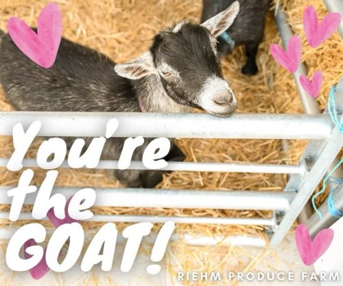 Carousel post from destinationsenecacounty.