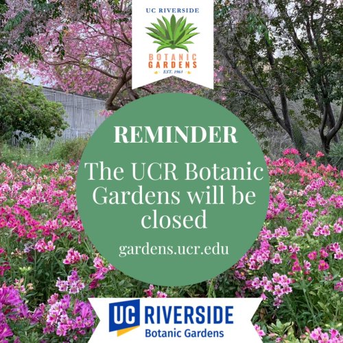 Photo post from ucrbotanicgardens.