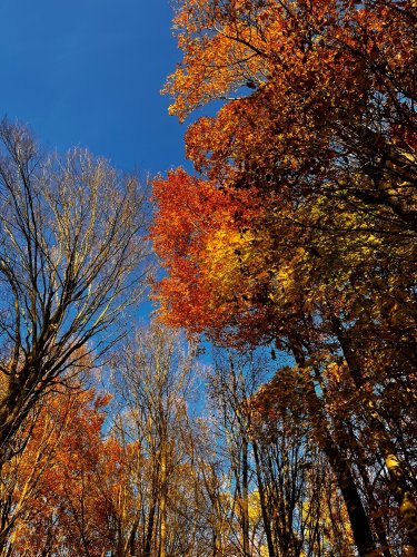 Carousel post from modra_photos.