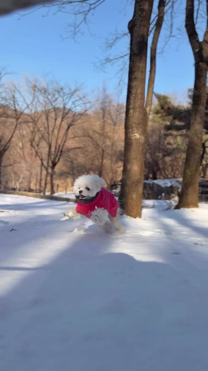 Video post from yomiyeon_.